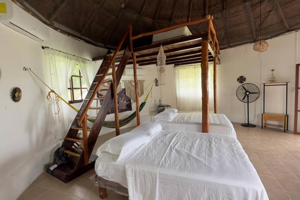Luigi'S Glamping Apartman Bacalar Kültér fotó